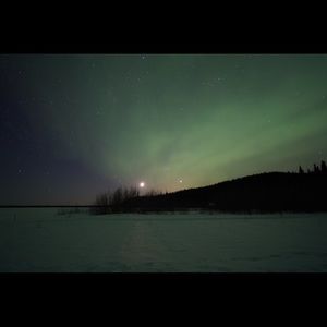 Meet your Posher, Lily